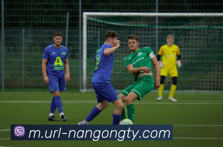 南宫娱乐平台生态图